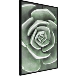 Arkiio Affisch Beautiful Succulent [Poster] 40x60 Poster